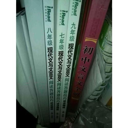 現代文與文言文閱讀答題技巧詳講精練·九年級