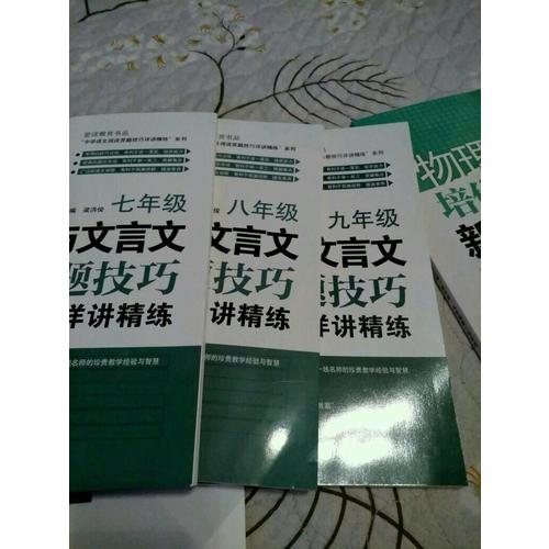 現代文與文言文閱讀答題技巧詳講精練·九年級