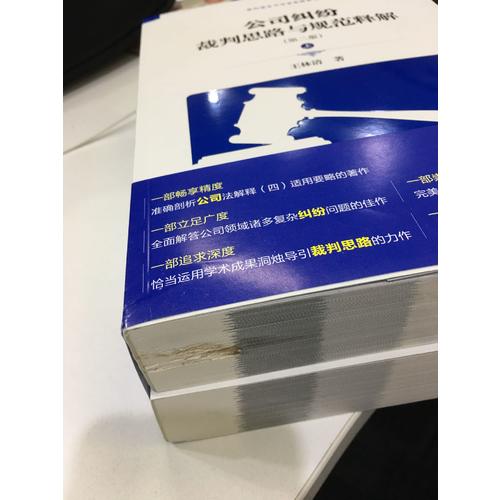 公司糾紛裁判思路與規(guī)范釋解（第二版）