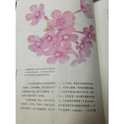 怎樣觀察一朵花——發(fā)現(xiàn)花朵的秘密生活