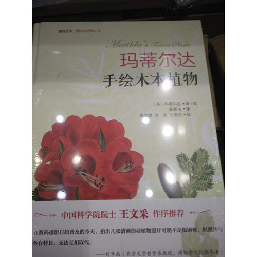 瑪?shù)贍栠_(dá)手繪木本植物