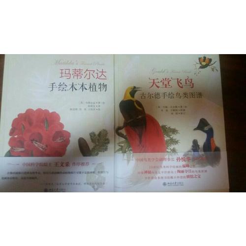 瑪?shù)贍栠_(dá)手繪木本植物