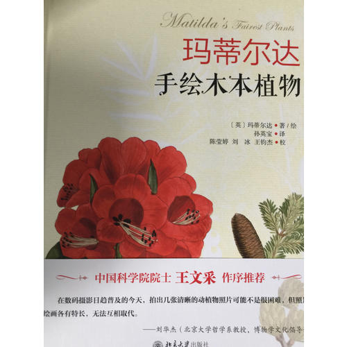 瑪?shù)贍栠_(dá)手繪木本植物