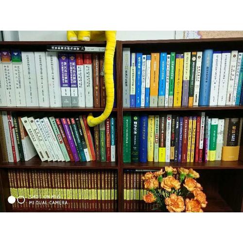 民法總則：司法適用與審判實(shí)務(wù)