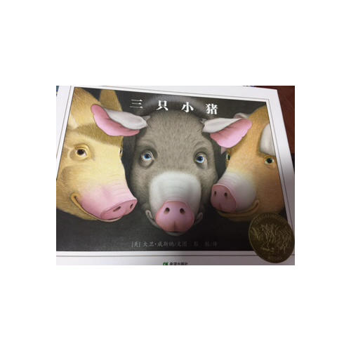 三只小豬