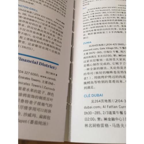 孤獨星球Lonely Planet國際旅行指南系列:迪拜和阿布扎比