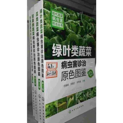 現(xiàn)代蔬菜病蟲害防治叢書·綠葉類蔬菜病蟲害診治原色圖鑒（第二版）
