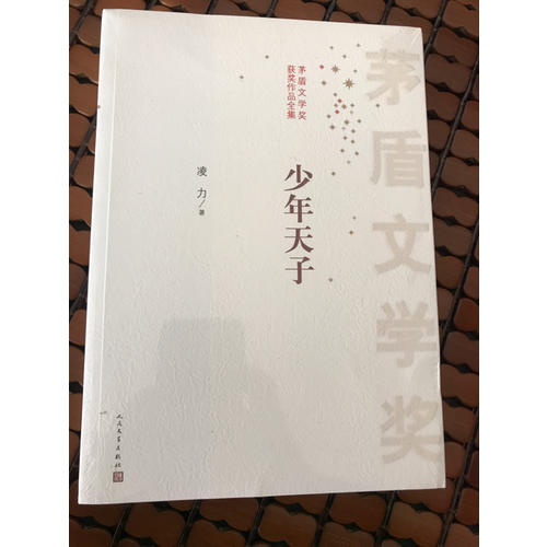 茅盾文學(xué)獎(jiǎng)獲獎(jiǎng)作品全集：少年天子