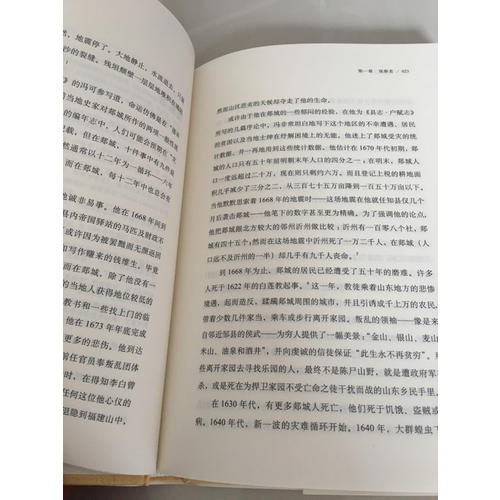 王氏之死：大歷史背后的小人物命運(yùn)（史景遷作品）（精裝）