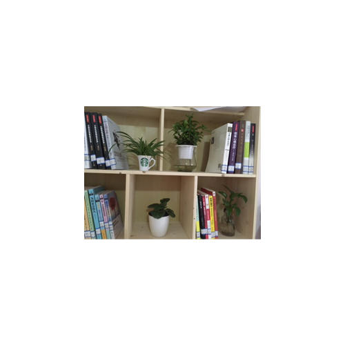 焦點(diǎn)解決短期心理咨詢和治療技術(shù)