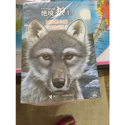 絕境狼王系列（全6冊(cè)）