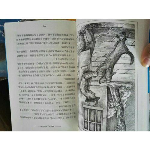 諾獎少年版（全30冊）