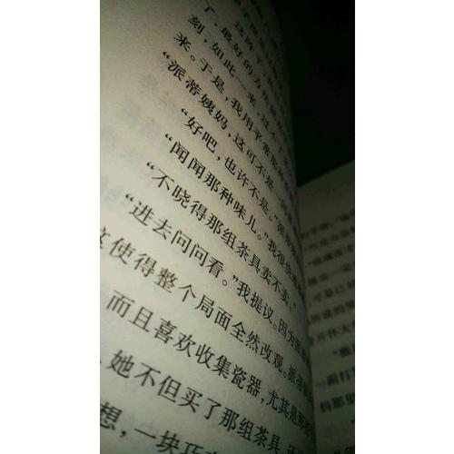 屋頂上的小孩（國(guó)際大獎(jiǎng)小說成長(zhǎng)版）