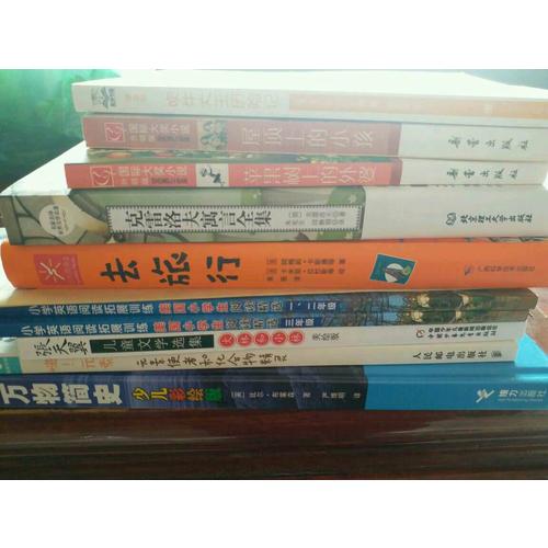 屋頂上的小孩（國(guó)際大獎(jiǎng)小說成長(zhǎng)版）