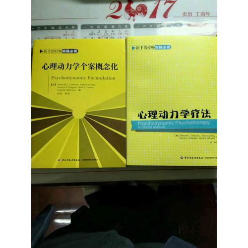 萬千心理·心理動(dòng)力學(xué)個(gè)案概念化