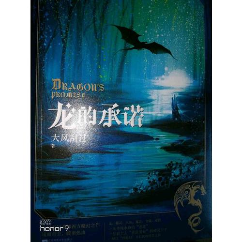 龍的保障