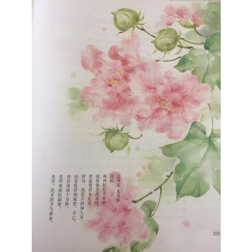 節(jié)氣手帖：蔓玫的花花朵朵