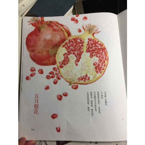 節(jié)氣手帖：蔓玫的花花朵朵