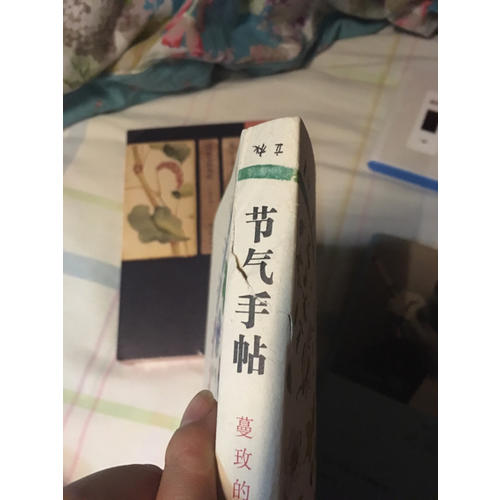 節(jié)氣手帖：蔓玫的花花朵朵