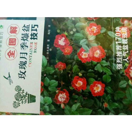 全圖解玫瑰月季爆盆技巧
