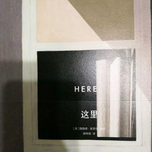 這里（精裝）:Here安古蘭漫畫節大獎作品