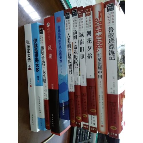 張居正大傳