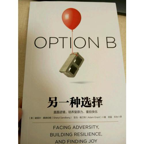 另一種選擇