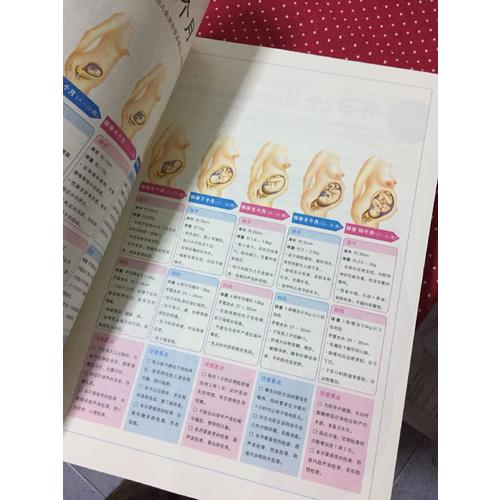 寶寶圣經(jīng)：懷孕 分娩 育嬰圖解大百科