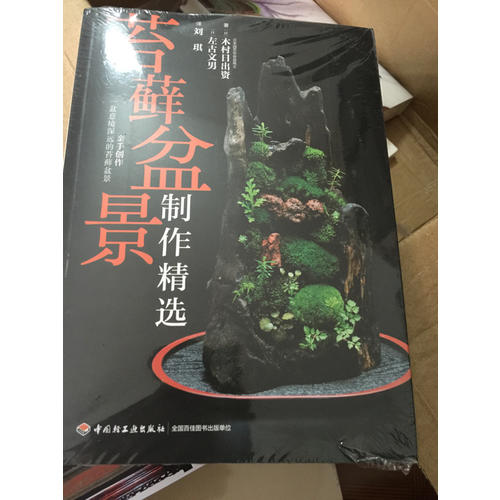 苔蘚盆景制作精選