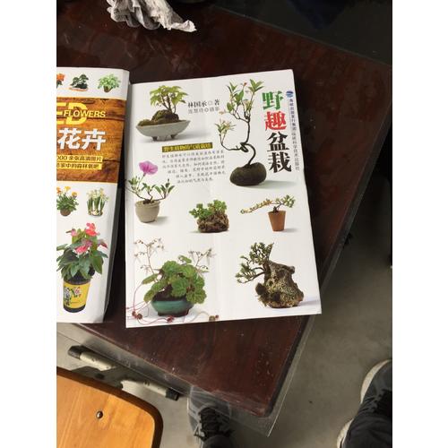 經典盆栽花卉圖鑒