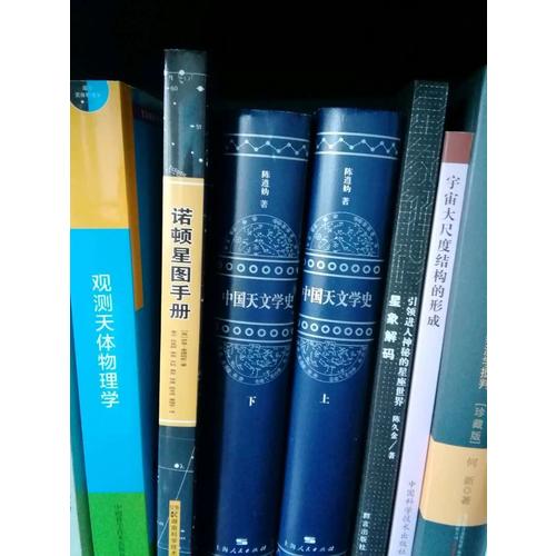 中國科學院國家天文臺天體物理叢書·宇宙大尺度結構的形成
