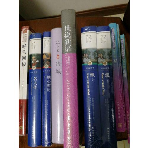 經(jīng)典譯林：巴黎圣母院（精裝）