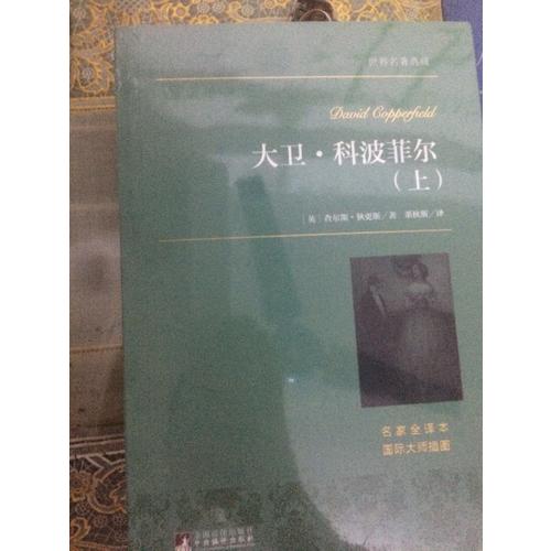 大衛·科波菲爾（上下）