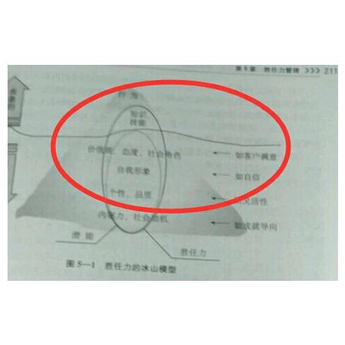 戰略人力資源管理：理論、實踐與前沿