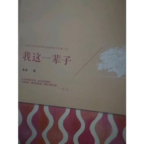 我這一輩子