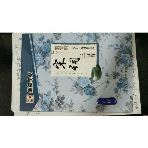 墨點(diǎn)字帖 經(jīng)典文化系列字帖 宋詞三百首行楷 鋼筆字帖