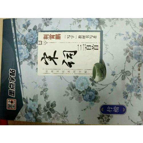 墨點(diǎn)字帖 經(jīng)典文化系列字帖 宋詞三百首行楷 鋼筆字帖