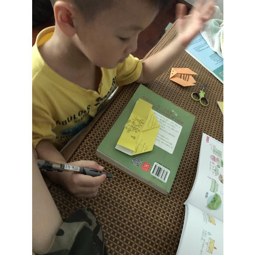 園長教你做：97款益智有趣的生活折紙