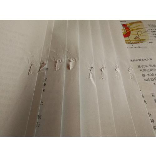 臨床神經(jīng)解剖學(xué)（第2版/配增值）