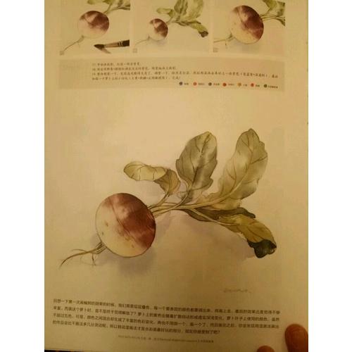 繪森活·水彩私享課