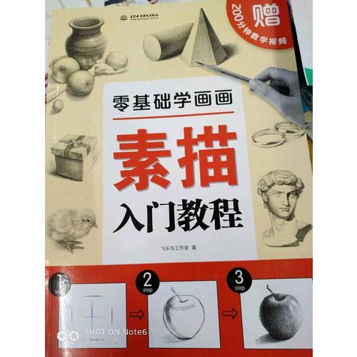 零基礎(chǔ)學(xué)畫(huà)畫(huà)素描入門教程