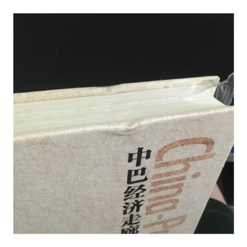 中巴經(jīng)濟(jì)走廊·中國“一帶一路”戰(zhàn)略旗艦項(xiàng)目研究