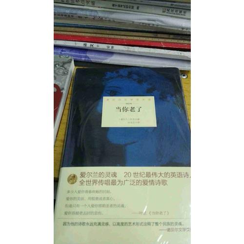 諾貝爾文學(xué)獎(jiǎng)大系·當(dāng)你老了