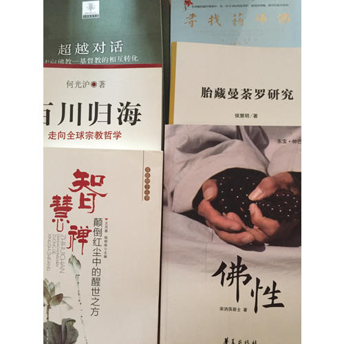 超越對話：走向佛教·基督教的相互轉化