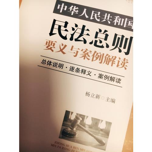 中華人民共和國民法總則要義與案例解讀