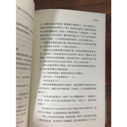 鋼鐵是怎樣煉成的（新課標(biāo)）