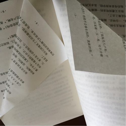 鋼鐵是怎樣煉成的（新課標(biāo)）