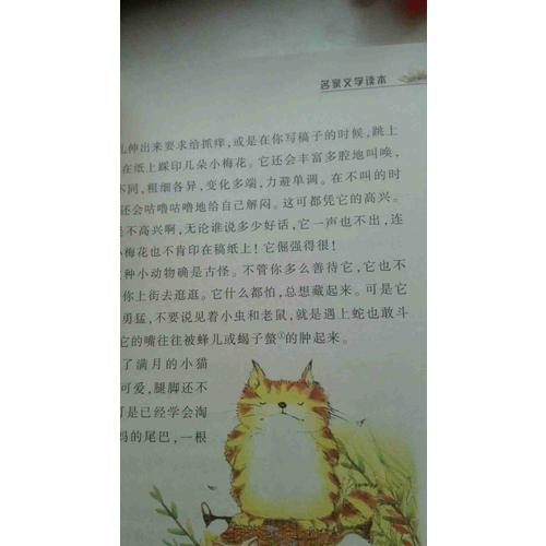 名家文學(xué)讀本：小學(xué)生老舍讀本