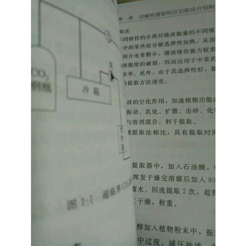 綠色飼料添加劑