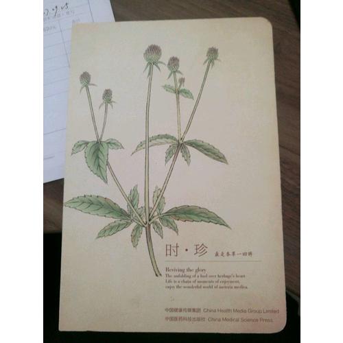 中國藥典分析檢測技術指南